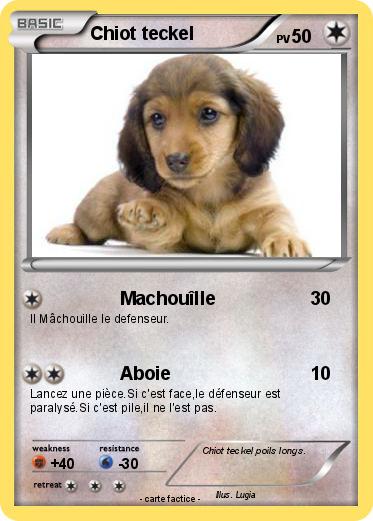 Pokemon Chiot teckel
