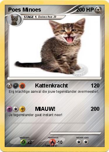 Pokemon Poes Minoes