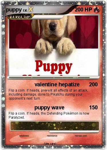 Pokemon puppy