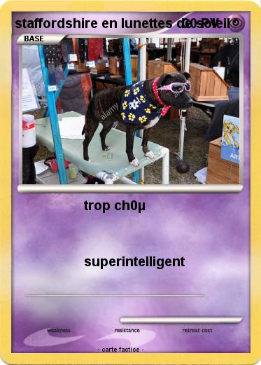 Pokemon staffordshire en lunettes de soleil