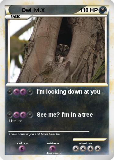 Pokemon Owl lvl.X