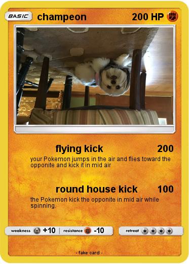 Pokemon champeon