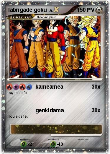 Pokemon labrigade goku
