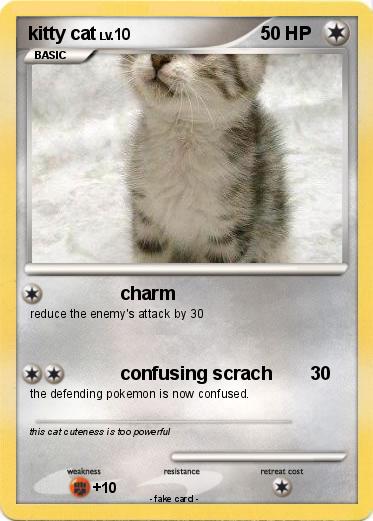 Pokemon kitty cat