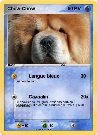 Pokemon Chow-Chow