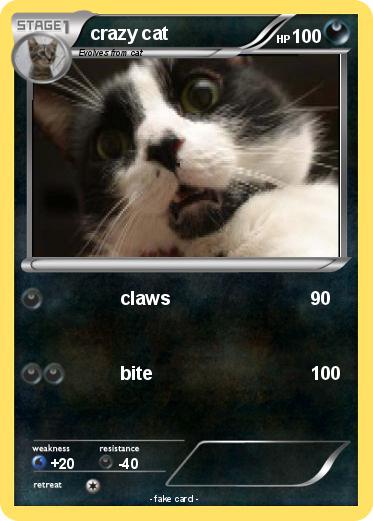 Pokemon crazy cat