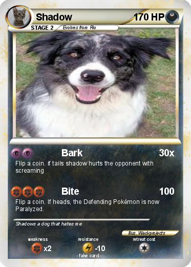 Pokemon Shadow