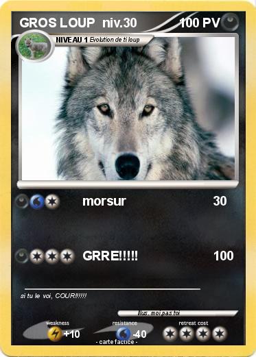 Pokemon GROS LOUP  niv.30
