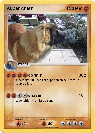 Pokemon super chien
