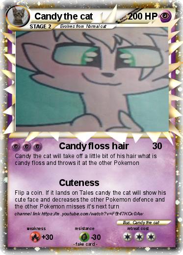 Pokemon Candy the cat