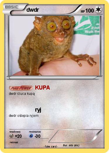 Pokemon dwdr