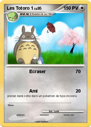 Pokemon Les Totoro 1