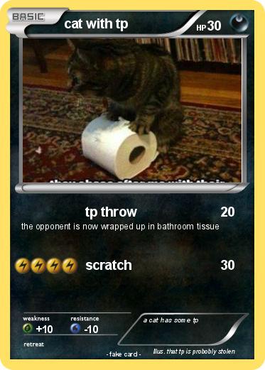 Pokemon cat with tp