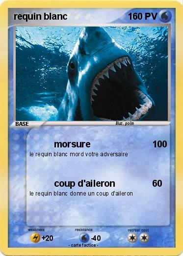 Pokemon requin blanc