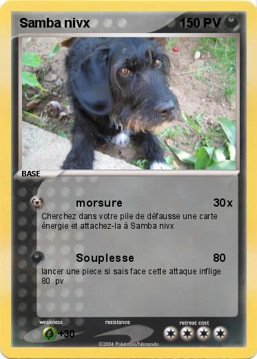 Pokemon Samba nivx