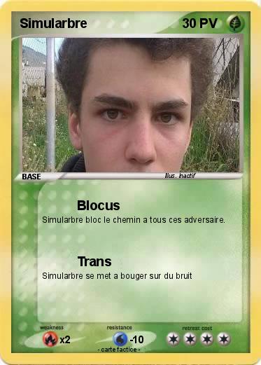 Pokemon Simularbre