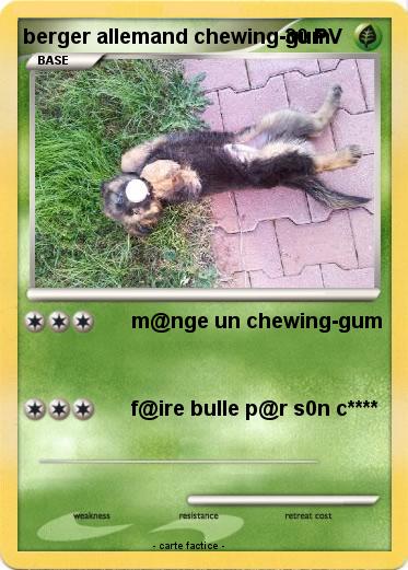 Pokemon berger allemand chewing-gum