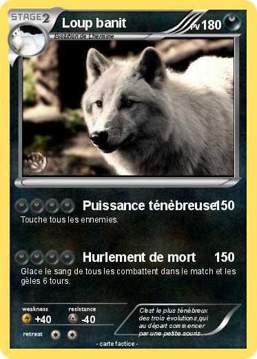 Pokemon Loup banit