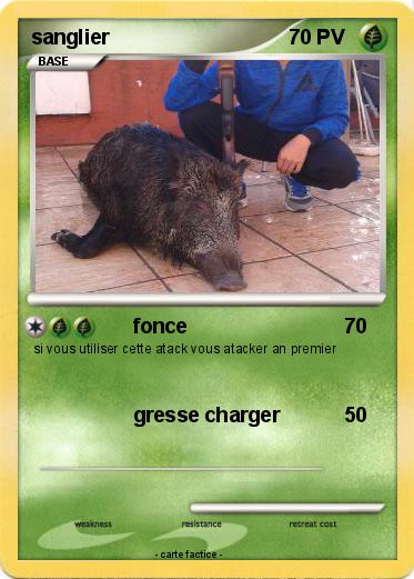 Pokemon sanglier