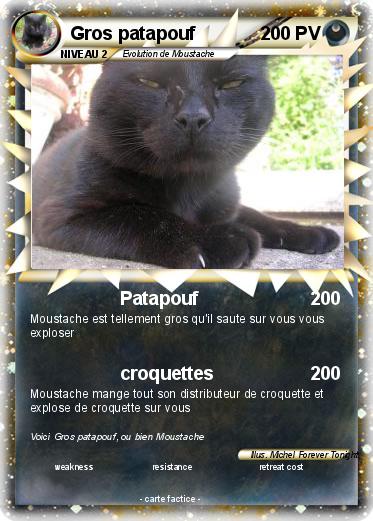Pokemon Gros patapouf