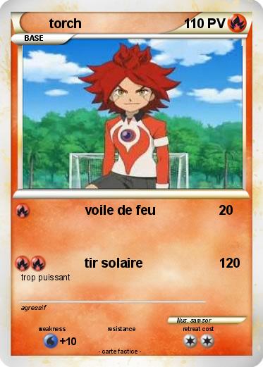 Pokemon torch