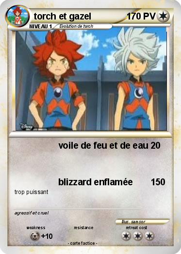 Pokemon torch et gazel