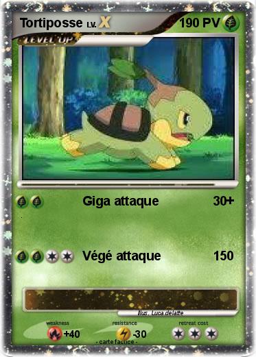 Pokemon Tortiposse