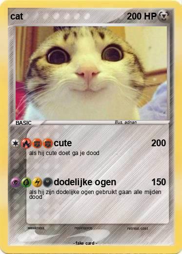 Pokemon cat