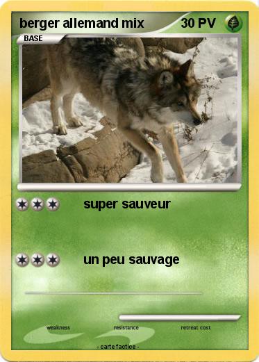 Pokemon berger allemand mix