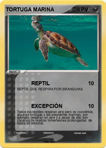 Pokemon TORTUGA MARINA