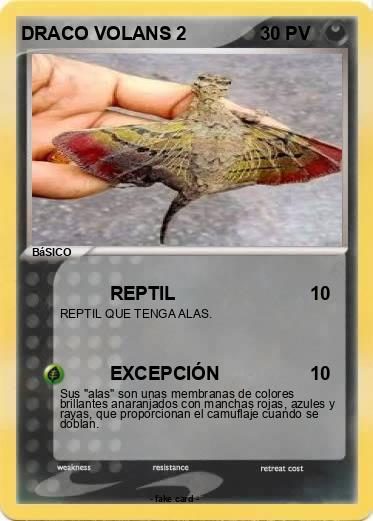 Pokemon DRACO VOLANS 2