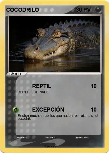 Pokemon COCODRILO