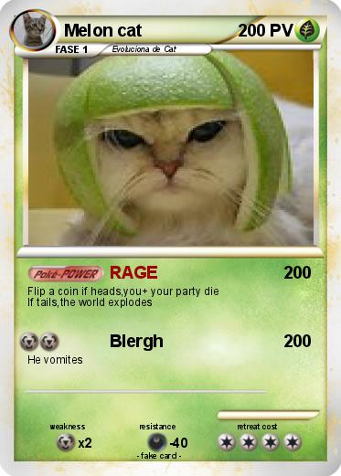 Pokemon Melon cat