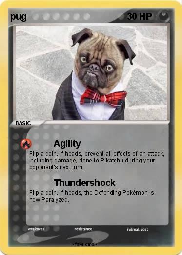 Pokemon pug