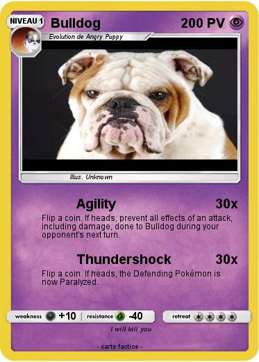 Pokemon Bulldog