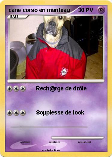 Pokemon cane corso en manteau