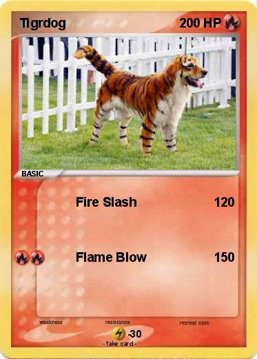 Pokemon Tigrdog