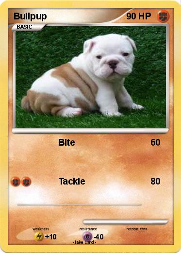 Pokemon Bullpup