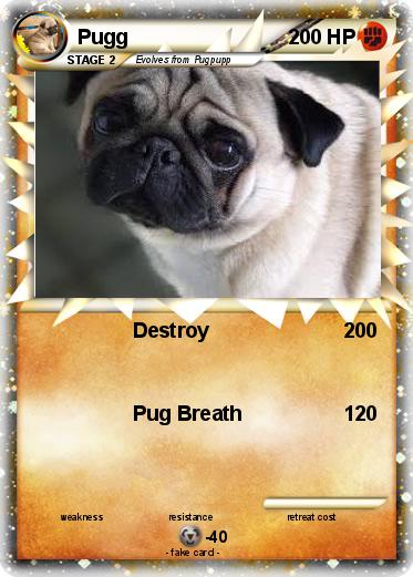 Pokemon Pugg