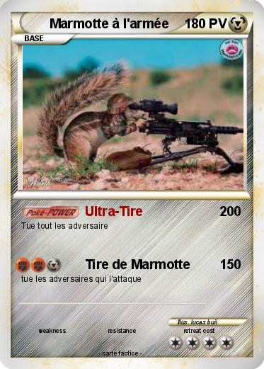 Pokemon Marmotte à l'armée