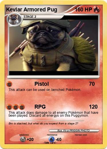 Pokemon Kevlar Armored Pug