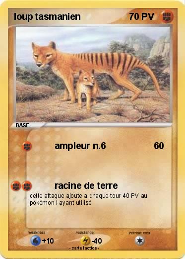 Pokemon loup tasmanien
