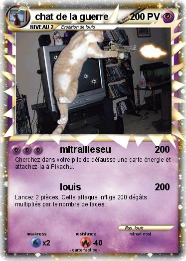 Pokemon chat de la guerre