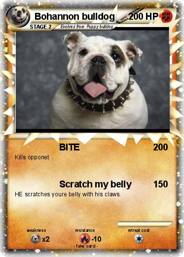 Pokemon Bohannon bulldog