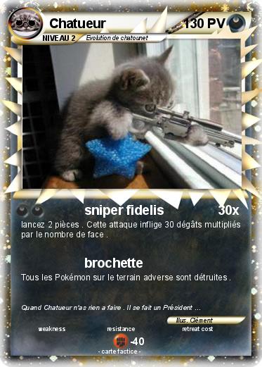 Pokemon Chatueur