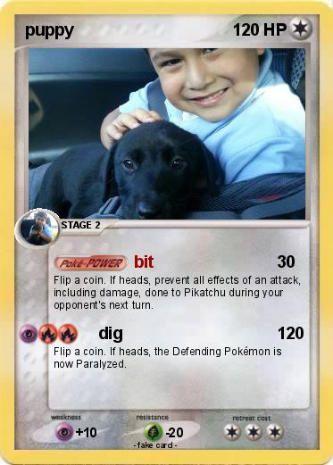Pokemon puppy