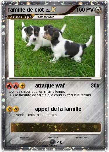 Pokemon famille de ciot