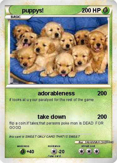 Pokemon puppys!