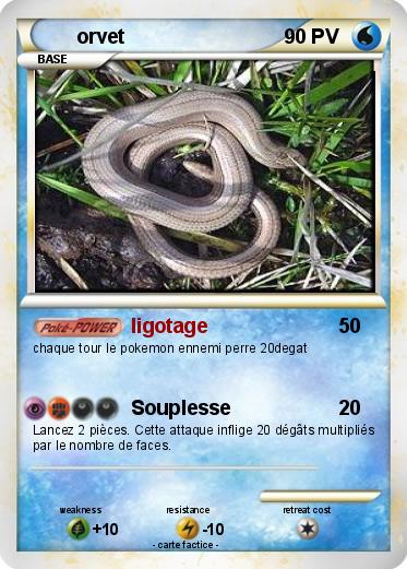 Pokemon orvet