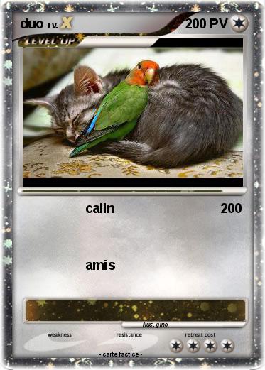 Pokemon duo